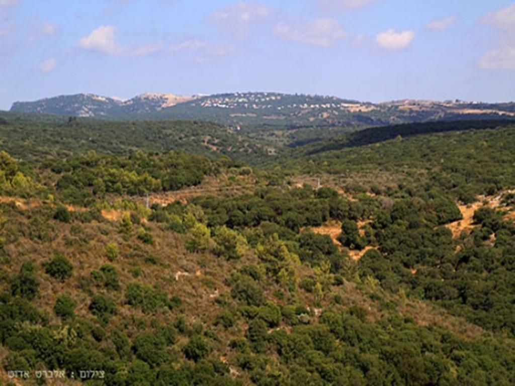 Between Sunrise And Sunset Suites Ya'ara Екстер'єр фото